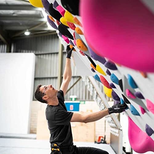 Couverture de Climbing Curated