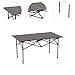 Menolana Folding Camping Table 2 to4 Persons Stable Foldable Easy to Set up Side Table for Tailgating Backyard Picnics Bbqs Camping, Silvery