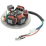 lichtmaschine vespa et4 125 Qualitativ hochwertiger Ersatz-Lichtmaschinen in Erstausrüsterqualität zum fairen Preis