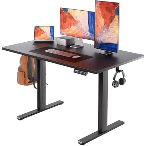 ErGear Electric Standing Desk, 48" x 24" Height Adjustable Desk, Computer Desk with 4 Memory Smart Pannel, Home Office Desk with Splice Board Cover