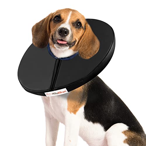 soft dog collar post surgery