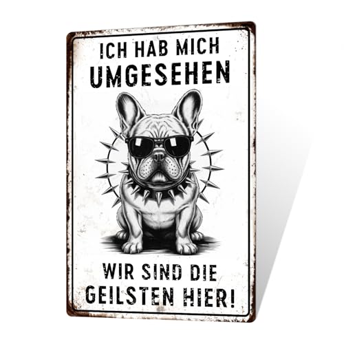 Putuo Decor Plaque en métal Bulldog – Ich hab Mich umgesehen, wir sind die Geilsten Hier – Lustige Wanddeko für Hundehalter