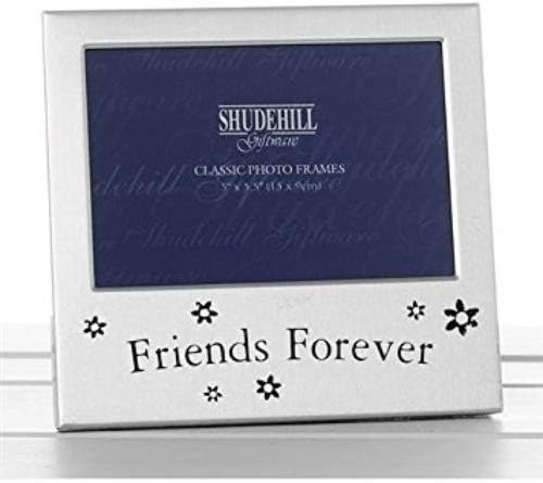 Viceni 5" x 3" Friends Forever Photo Frame Gift For Friend Occasion Present 73484, Silver