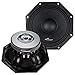 Audiopipe AOCT1050 10 Octagon Loudspeaker