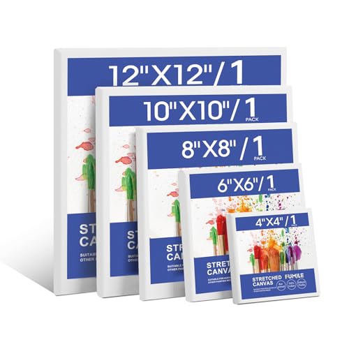 FUMILE Stretched Canvas for Painting Multi 5 Pack Square Canvas ...