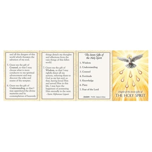 Confirmation Gifts of the Holy Spirit Chaplet with Recitation Prayer Card Rosary features White and Red Bead with Descending Dove Centerpiece and Trinity Crucifix, onesize4