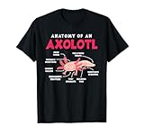 Photo Gallery anatomia di un axolotl axolotls divertente axolotl amante maglietta Photo Gallery anatomia di un axolotl axolotls divertente axolotl amante maglietta
