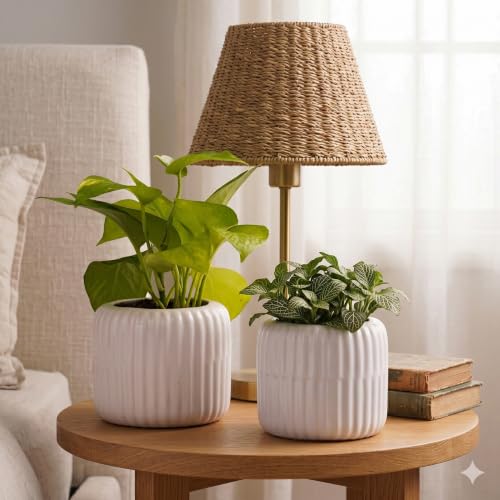Image of Plant Pots for Indoor Plants, Succulents | Fluted Ceramic Planters for Living Room, Home & Office Decor (Set of 2, Off-White)