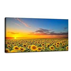 DB2962 Sunflower Wall Art Flower Wall Art Sunset Rustic Pictures Canvas Print Painting Framed and Stretched Ready to Hang for Living Room Bedroom Office