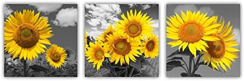 Yatehui Sunflower Wall Art Yellow Flowers Canvas Prints 3 Pieces Home Decor Modern Black and White Floral Pictures for Bathroom Ready to Hang 12 x 12 Inches