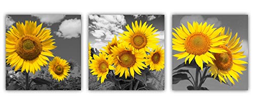 Yatehui Sunflower Wall Art Yellow Flowers Canvas Prints 3 Pieces Home Decor Modern Black And White Floral Pictures For Bathroom Ready To Hang 12 X 12 Inches #TOP14