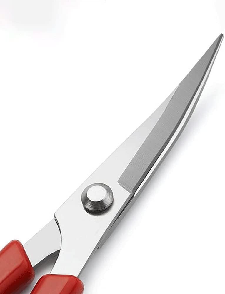 Craft Scissors Embroidery Scissors for Needlework Cutting Head Up Scissors for Fabric Cross Stitch Tailor Scissor Tools for Sewing Shears-1pcs Scissors (Size : B)