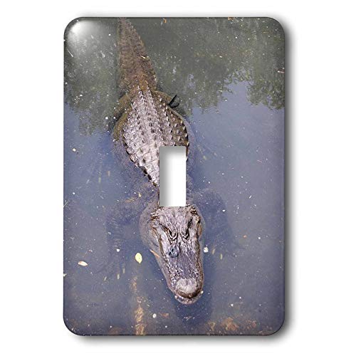 Interrupteur à bascule simple Alligator 3dRose lsp_4331_1 mural original - 2