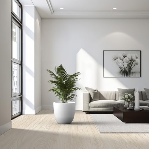 Image of Kante 18 inch Dia Round Concrete Planter, Large Bowl Pot, White