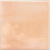 Floral Ceramic Tile Pink Sample 3.94x3.94 Glossy 1-piece