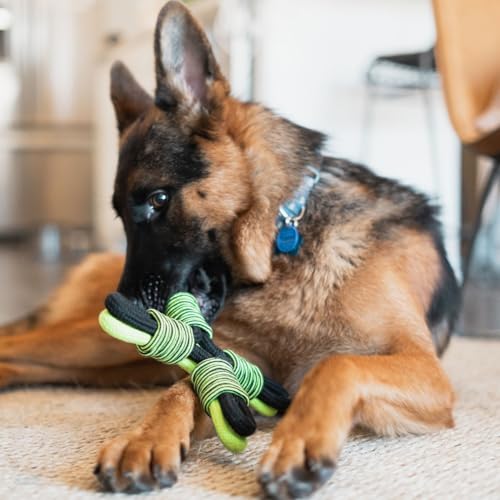 Jolly Pets TIK-Tak-Tugzz Large/XL X Rope Dog Toy - Thumbnail 6