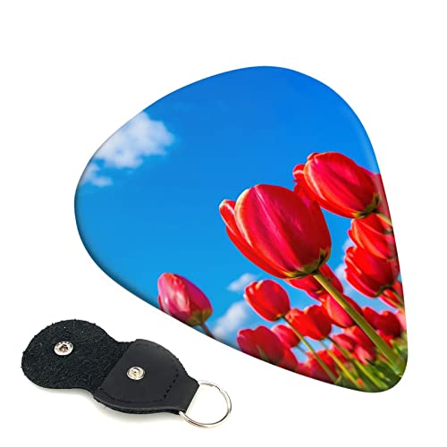 M^[sbN 6Zbg 0.46mm 0.71mm 0.96mm GLM^[ x[XpsbN EN M^[ ABSf GNgbN AR[XeBbN y S gCAO sbNi c̐Ԃ`[bv j