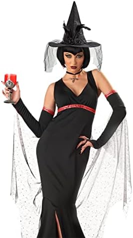 Ladies Black Witch Hat with Veil and Feathers - Halloween Day of the Dead Corpse Bride - Adults Pointy Witch Hat - Fancy Dress Carnival Accessories - Women's Witch or Wizards Outfit