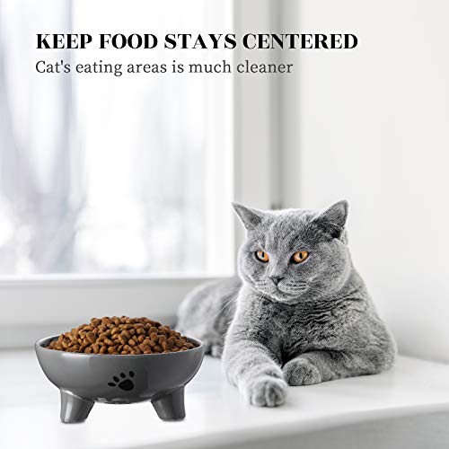 Y Yhy Elevated Cat Bowl, Raised Cat Food Bowl 27 Ounces,Pet Bowl For Adult Cat And Medium Dog, Ceramic Cat Food Bowl, Anti Vomiting, Protect Spine, Stress Free, Microwavable And Dishwasher Safe, Grey #TOP5