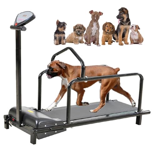 HpLNDas Dog Treadmill, Pet Running Machine for Small Medium Large Dogs Indoor and Outdoor, with LCD Display Screen, Safety Fence, 80 cm Long Runway, Speed Range: 1-6 km, Supports Up to 176 lbs / 80kg