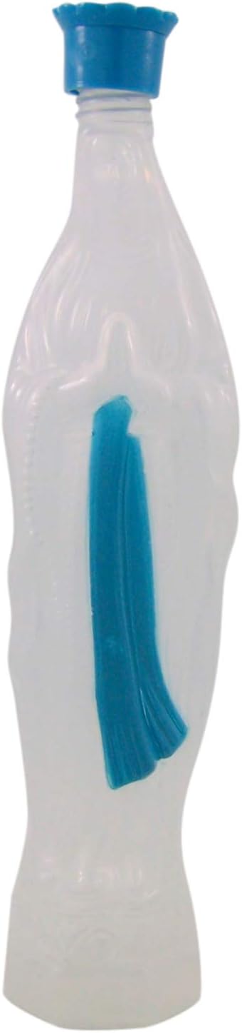 Plastic Our Lady of Lourdes Empty, 7 1/4 Inch