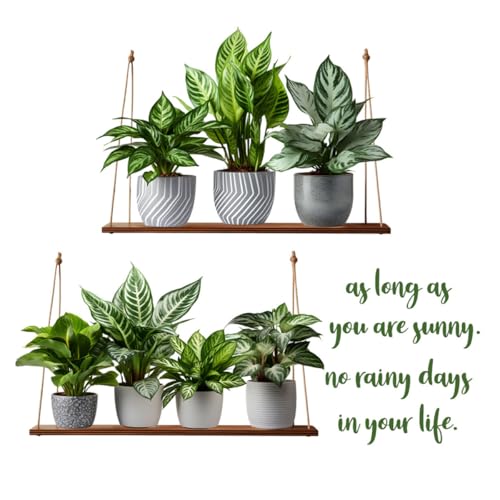 Adhesivo Decorativo de Pared Planta Verde 30x90 cm