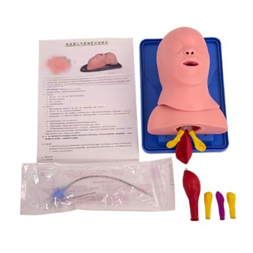 Modelo de treinamento de inserção de via aérea para bebê, simulador de inserção de vias aéreas, mode