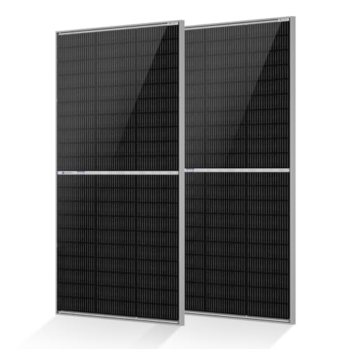 Image of ECO-WORTHY N-Type 18BB Bifacial Solar Panels, 2PCS 195W 12 Volt Monocrystalline Solar Panel with 25% High Conversion Efficiency, Ideal for RV, Boat, Roof, Farm,Home & Off-Grid Applications