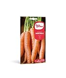 Eurogarden - Semillas Hortícolas. Zanahoria Nantesa