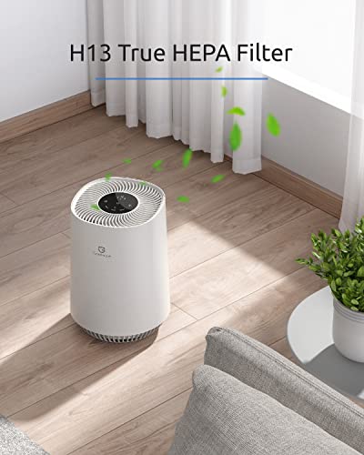 https://m.media-amazon.com/images/I/41o6mlpbBBL._SL500_.jpg