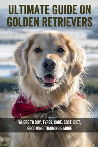 Ultimate Guide On Golden Retrievers: Where To Buy, Types, Care,