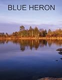 BLUE HERON