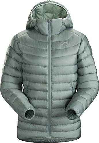 Arc'teryx Cerium LT Hoody Women's (Robotica, Large)