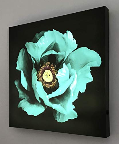 Tableau rétro-éclairé pivoine en méthacrylate multicolore 80x80 cm - 3
