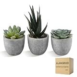 ALANGDUO 3pcs Künstliche Sukkulenten im Topf,...