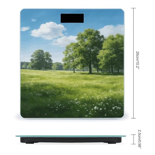 Báscula Digital para Baño con Vidrio Templado miniatura 2