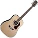 Washburn HD20S Heritage Dreadnought Acoustic Guitar