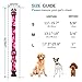 Rhea Rose Hundehalsband Sonderanfertigung Personalisierte weiche Halsbänder Pink Camo Medium
