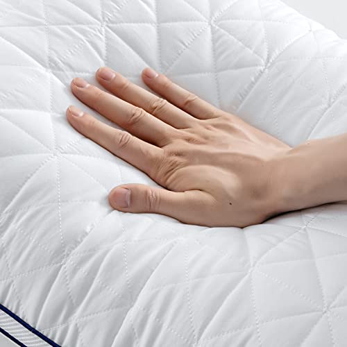 Bedstory Bed Pillows For Sleeping-Queen Pillows 2 Pack-Cooling Pillows With Mesh Design-Premium Soft Down Alternative Fill Supportive For Back, Stomach Or Side Sleepers #TOP7