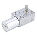 High Torque Turbo Geared Motor DC 12V Motor 2/3/10/30/100RPM (10 RPM)