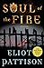 Soul of the Fire: A Mystery (Inspector Shan Tao Yun)