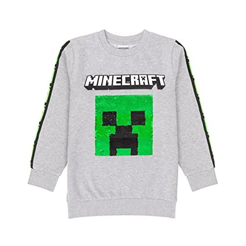 Minecraft Kids Sudadera Sudadera Escritura TNT Gray Gamer Jumper Sudadera con ca 7-8 años