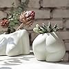 Amazon.com: FROZZUR Female Base Roots Body Shape Flower Vase, White ...