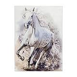  Obsession Kinderteppich Torino Kids Tok 235 White Horse (120 x 170 cm)