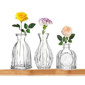 FANTESTICRYAN Glass Bud Vases Set of 3, Clear Vase for Flowers Small Glass Vase Single Flower Mini Vases Bulk for Centerpiece Wedding Table Decor, Home Decorations