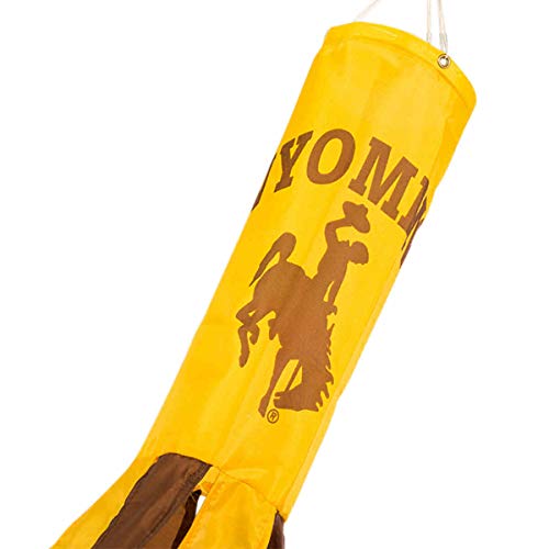 College Flags & Banners Co. Wyoming Windsock #TOP2