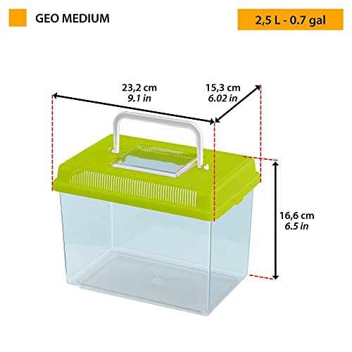 Ferplast Aquarium aus Kunststoff für Fische GEO Medium Tank 2,5 L Behälter für Kleintiere Aquarium Terrarium Insekten Schildkröten, Robuster Kunststoff, 23,2 x 15,3 x 16,6 cm, grün