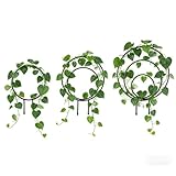 structure alu occasion pas cher Structure métallique robuste : ce treillis pour plantes dispose d'un cadre en métal épais et d'un revêtement anti-rouille, ce qui garantit un support durable pour les plantes grimpantes à l'intérieur et à l'extérieur. Maintient sa stabilité dans diverses conditions météorologiques pour une exposition de verdure vibrante dans votre jardin ou espace intérieur.