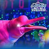  Embarca Morena / Canto de Atravessar / Carimbó do Remado