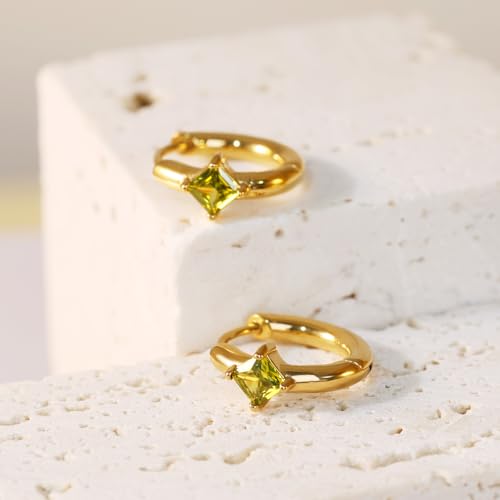 FANSING Birthstone Hoop Earrings for Women Lightweight 316L Surgical Steel Huggie Earrings2